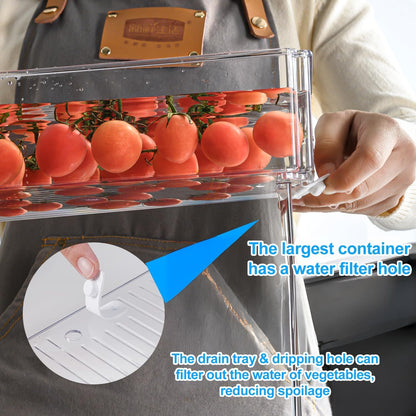 Pure Future 10-Pack Fridge Organizers and Storage Clear Container with Lids